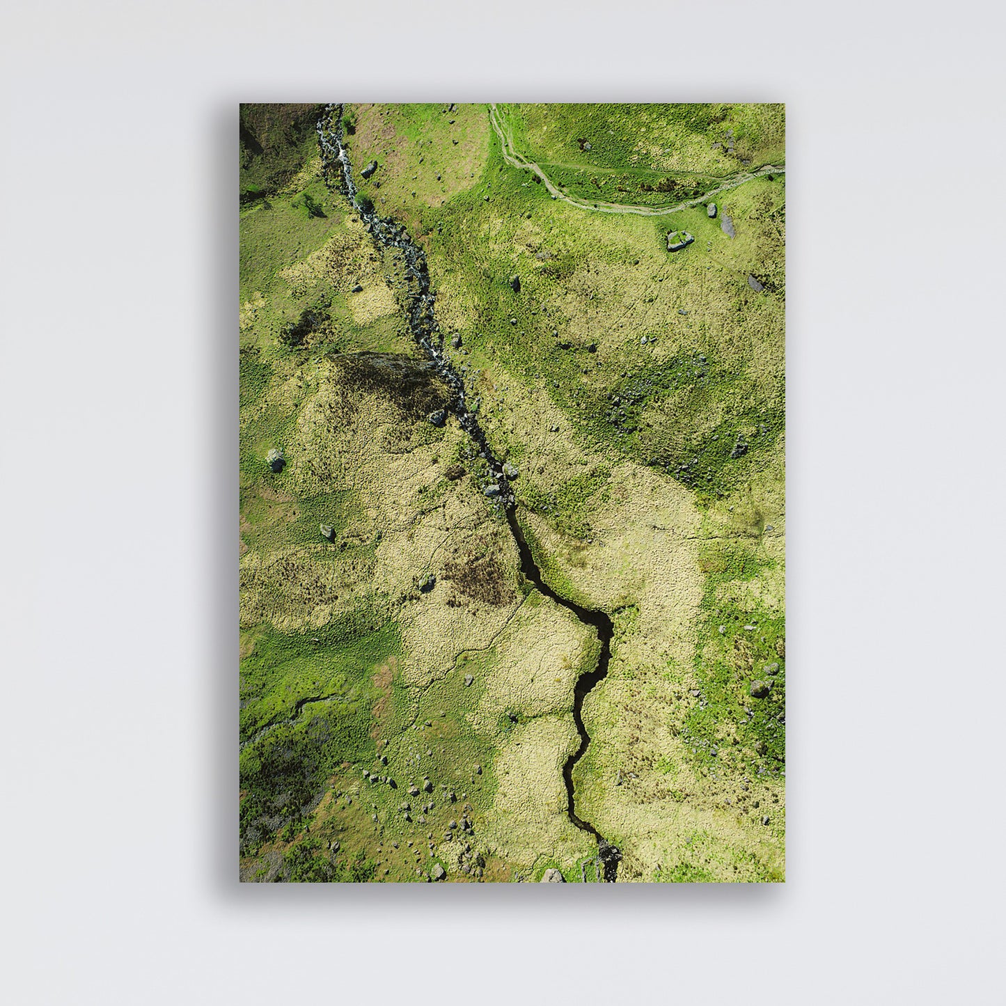 ROCK RIVER (Portrait)